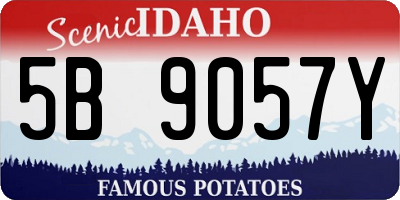 ID license plate 5B9057Y