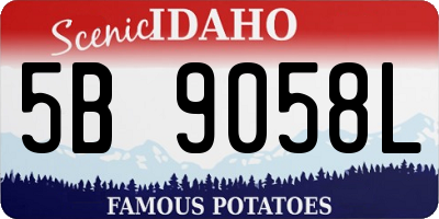 ID license plate 5B9058L