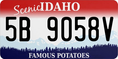 ID license plate 5B9058V