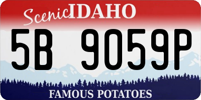 ID license plate 5B9059P