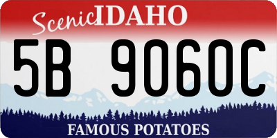 ID license plate 5B9060C