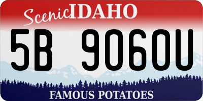 ID license plate 5B9060U