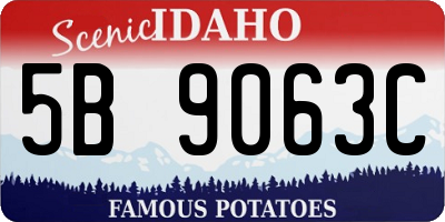 ID license plate 5B9063C