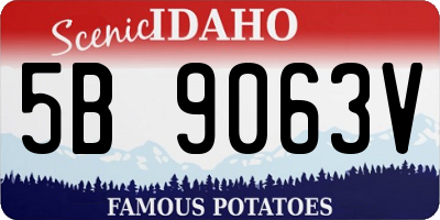 ID license plate 5B9063V