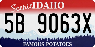 ID license plate 5B9063X