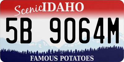 ID license plate 5B9064M