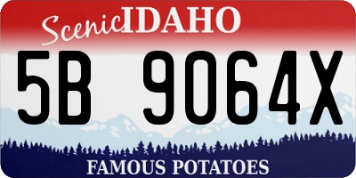 ID license plate 5B9064X