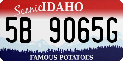 ID license plate 5B9065G