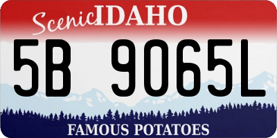 ID license plate 5B9065L
