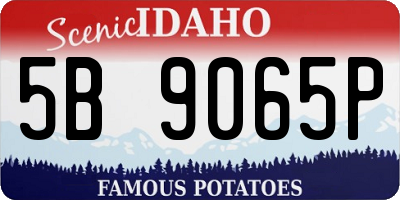 ID license plate 5B9065P