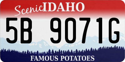 ID license plate 5B9071G