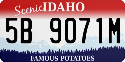ID license plate 5B9071M