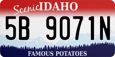 ID license plate 5B9071N