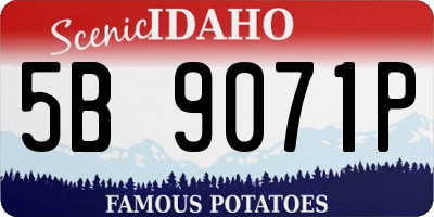 ID license plate 5B9071P