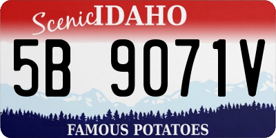 ID license plate 5B9071V
