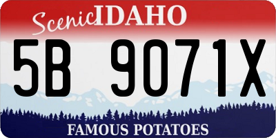 ID license plate 5B9071X
