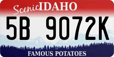 ID license plate 5B9072K