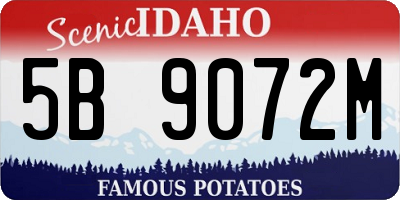 ID license plate 5B9072M