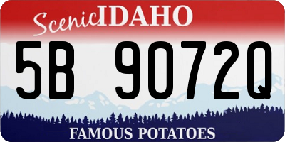 ID license plate 5B9072Q