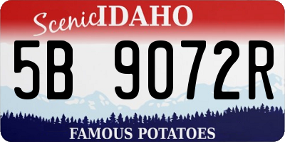 ID license plate 5B9072R