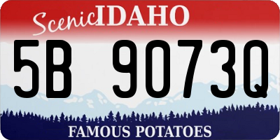 ID license plate 5B9073Q