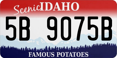 ID license plate 5B9075B