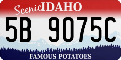 ID license plate 5B9075C