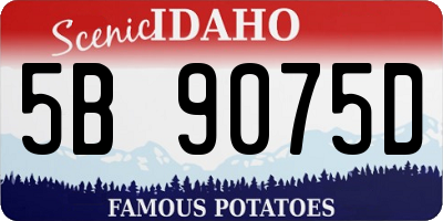 ID license plate 5B9075D
