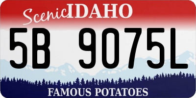ID license plate 5B9075L