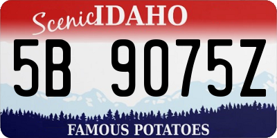 ID license plate 5B9075Z