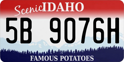 ID license plate 5B9076H