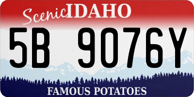 ID license plate 5B9076Y