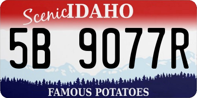 ID license plate 5B9077R