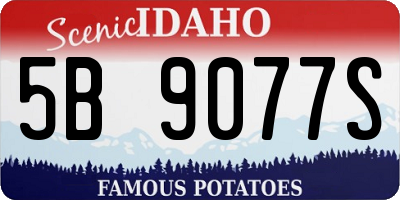 ID license plate 5B9077S