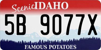 ID license plate 5B9077X