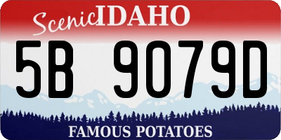 ID license plate 5B9079D