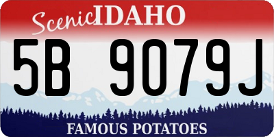 ID license plate 5B9079J