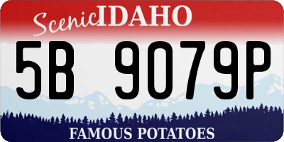 ID license plate 5B9079P