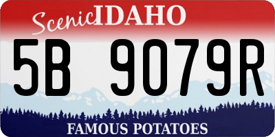 ID license plate 5B9079R