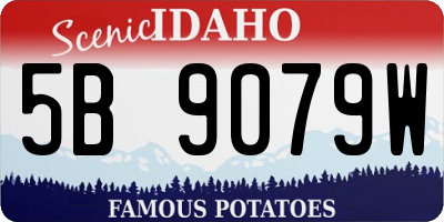 ID license plate 5B9079W