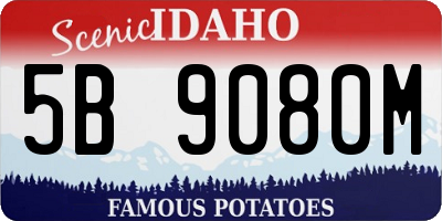ID license plate 5B9080M