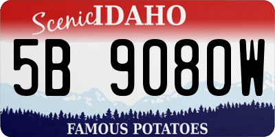 ID license plate 5B9080W