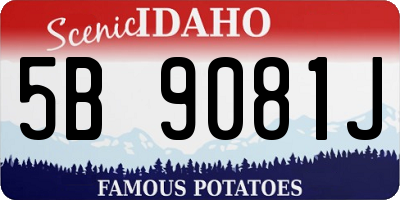 ID license plate 5B9081J