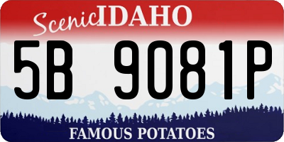 ID license plate 5B9081P