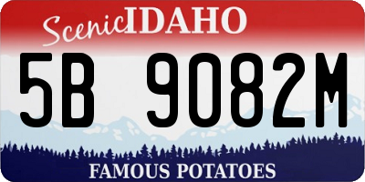 ID license plate 5B9082M