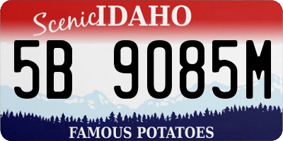 ID license plate 5B9085M