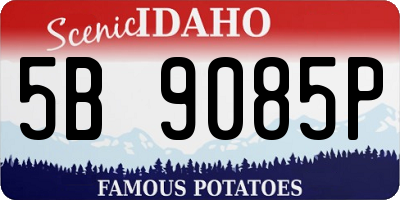ID license plate 5B9085P