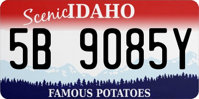 ID license plate 5B9085Y