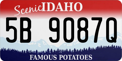 ID license plate 5B9087Q