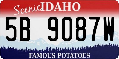 ID license plate 5B9087W